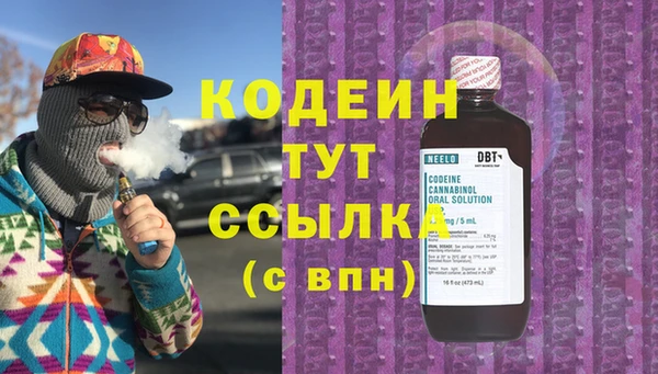 сатива Инта