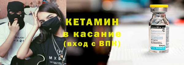 сатива Инта