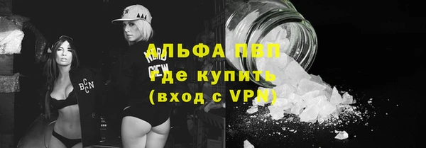 сатива Инта