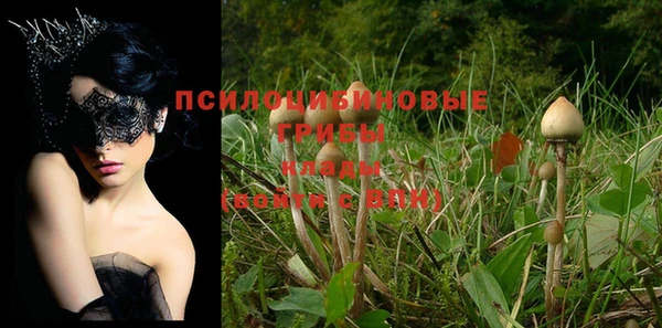кокаин премиум Каменногорск