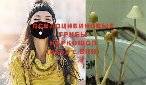ГАЛЛЮЦИНОГЕННЫЕ ГРИБЫ Каменка