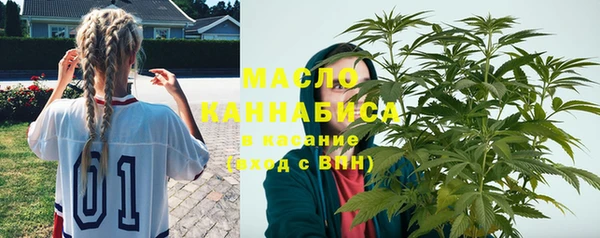 сатива Инта