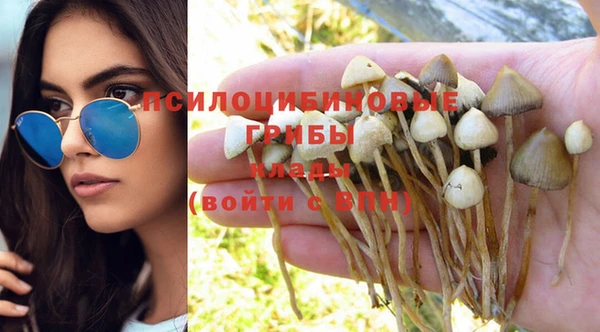 сатива Инта