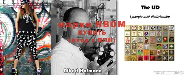 сатива Инта