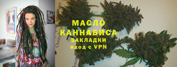 сатива Инта