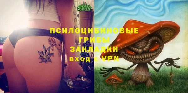 сатива Инта