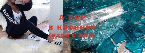 ГАЛЛЮЦИНОГЕННЫЕ ГРИБЫ Каменка