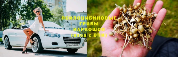 ГАЛЛЮЦИНОГЕННЫЕ ГРИБЫ Каменка