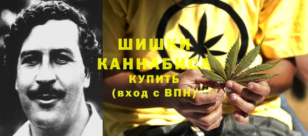 сатива Инта