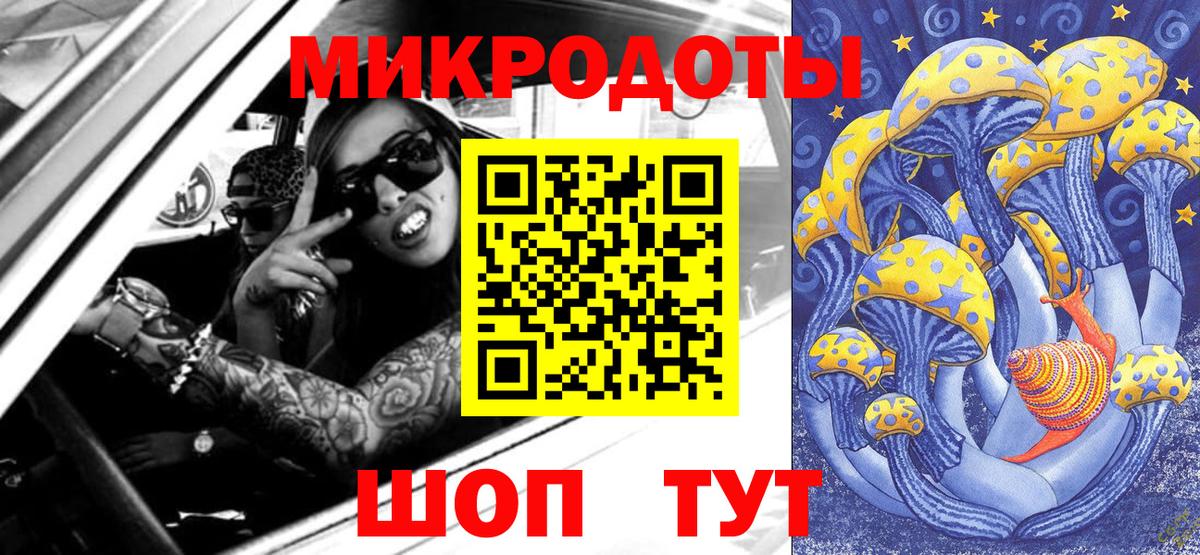 Галлюциногенные грибы Psilocybine cubensis Когалым
