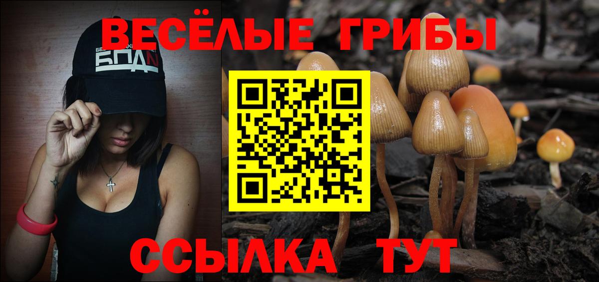 Галлюциногенные грибы мухоморы  Вход с VPN  Когалым 