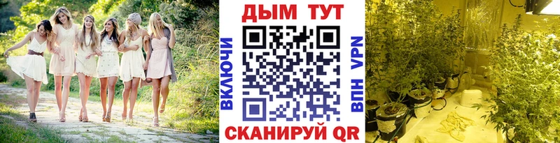 Купить закладки  Когалым  Канабис семена 