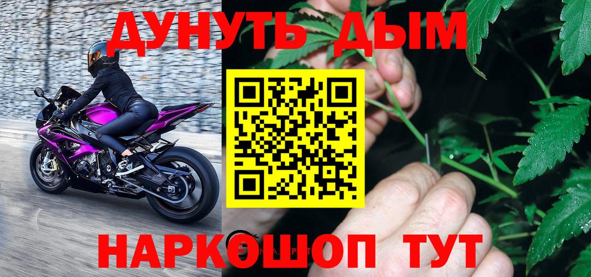 Конопля сатива Когалым